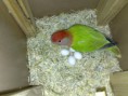 /album/fenykepgaleria/kep-1326-jpg/